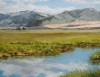 Buffalo Water