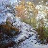 First Snow