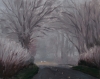 Headlights in the Fog