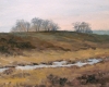 New forest
